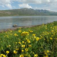 Neor Lake 
